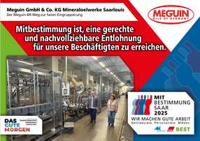 Mitbestimmung Plakat Meguin