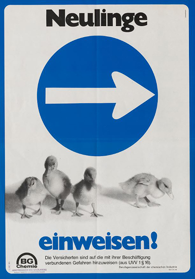 Vier Küken, runder blauer Kreis mit weißem Richtungspfeil, Schriftzug "Neulinge einweisen"